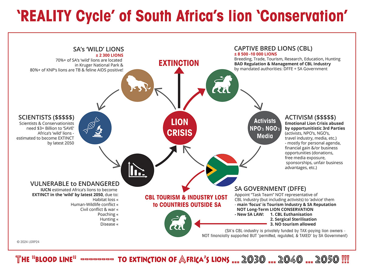 Blood LINE of African lions